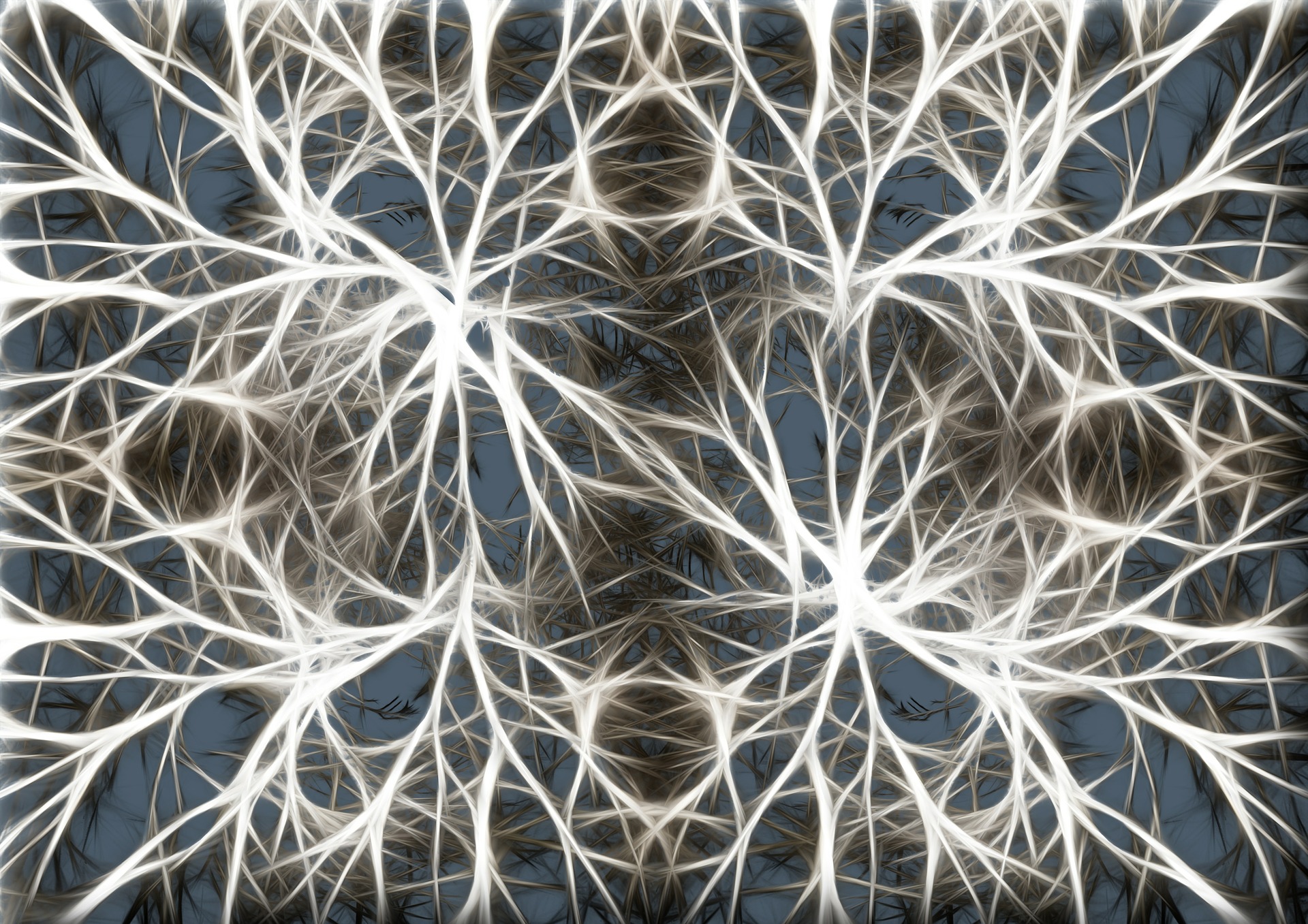 Neurons and synapsis