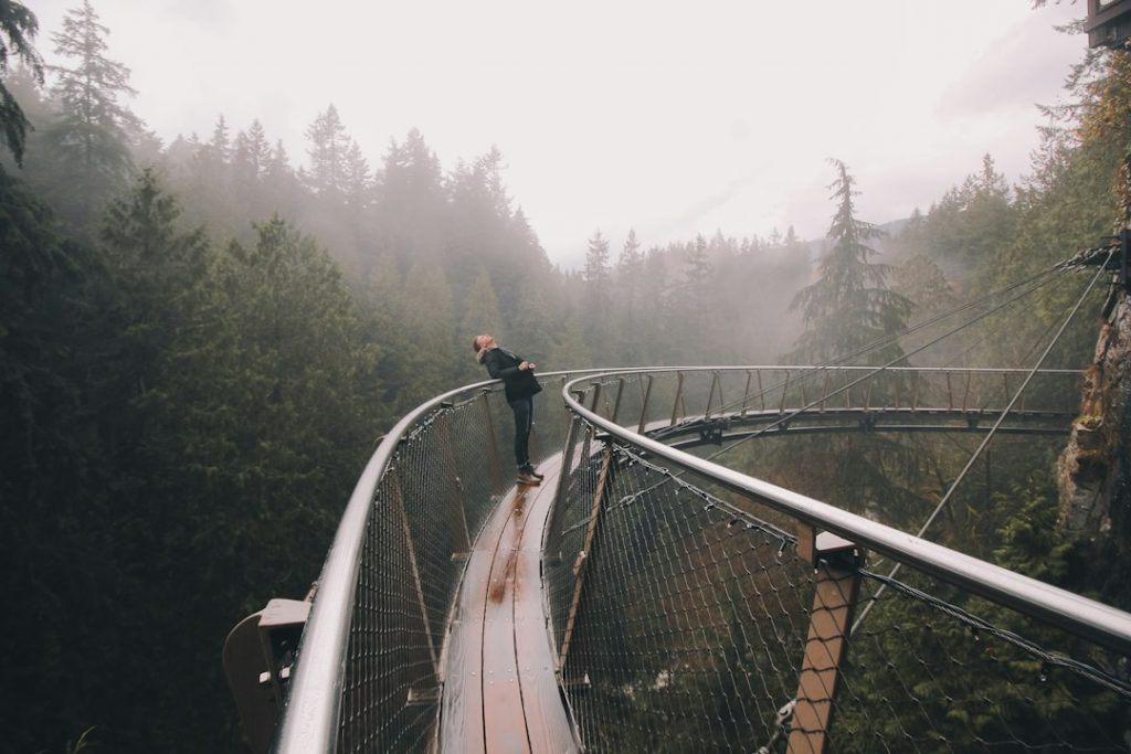 A person leans on the railing of a curved, elevated walkway above a lush forest, surrounded by tall trees and mist under an overcast sky.