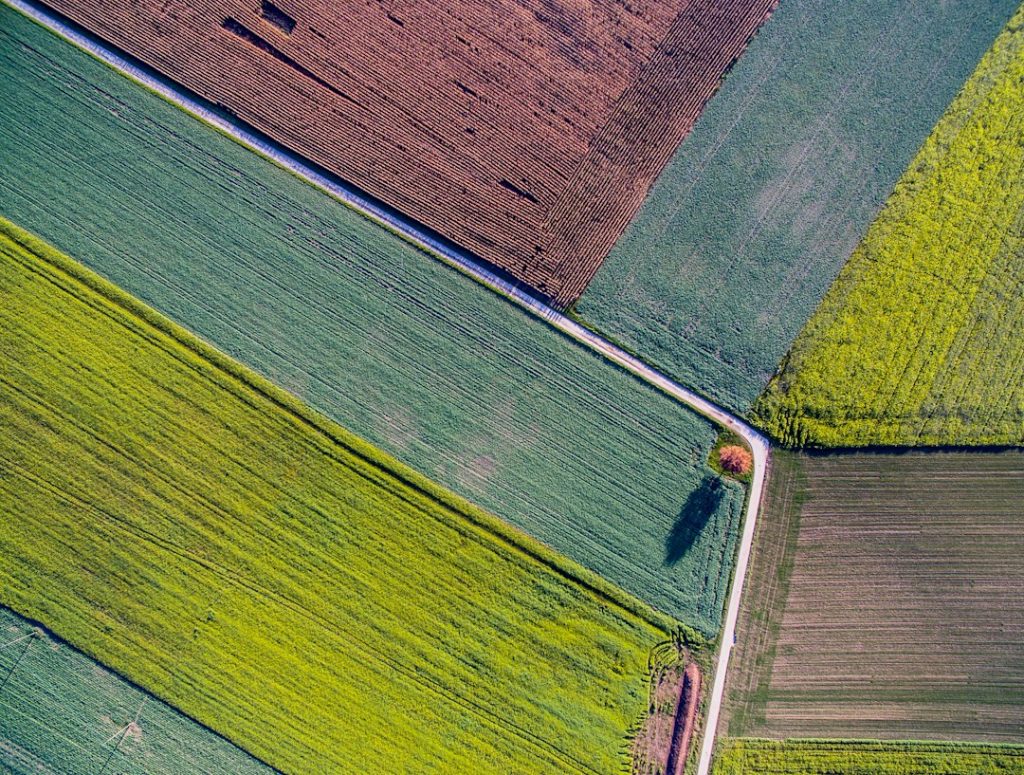 Aerial view of colourful, geometric farmland with green, yellow, and brown fields divided by straight dirt roads and a single tree casting a long shadow on the landscape.