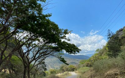 Exploring the Hidden Gems of East Timor: A Journey Through the Culture and Beauty of Timor-Leste