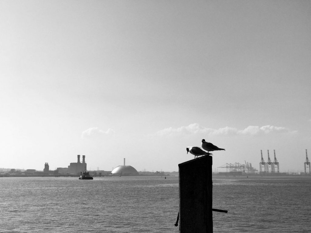 Two birds perch on a post by the water, with an industrial landscape including factories, cranes, and domed buildings visible across the river in the hazy distance under a clear sky.