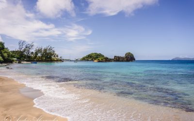 Discovering the Hidden Gems of Saint Vincent and the Grenadines: A Journey through the Caribbean’s Best-Kept Secret
