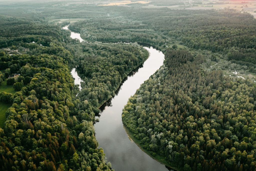 A winding river flows through a dense, green forest, surrounded by lush trees and vegetation, seen from an aerial perspective on a cloudy day.