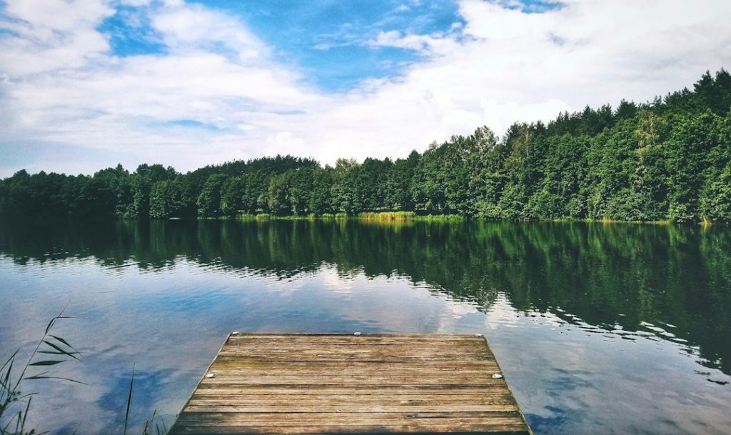 A wooden jetty extends over a calm lake, reflecting a dense green forest and a blue sky with scattered clouds. Tall trees line the far shore, and the water is still and serene.