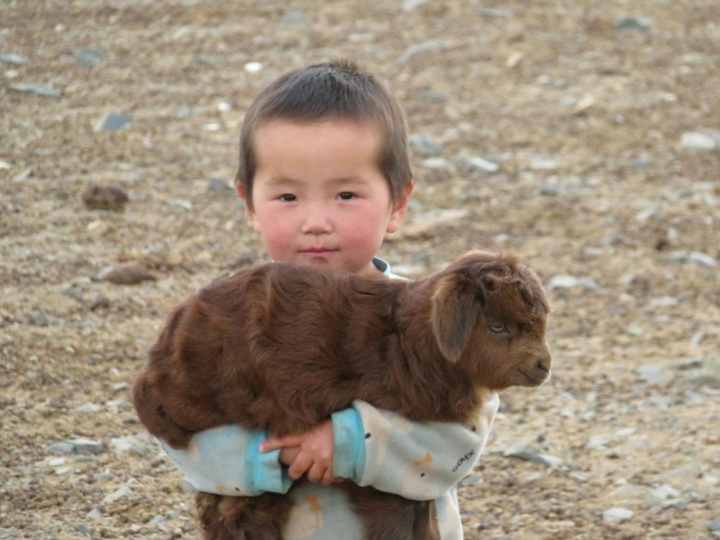 A young child standing outdoors on rocky ground, smiling gently whilst holding a brown baby goat in their arms. The child is wearing a light blue patterned jacket.