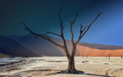 Discovering the Natural Wonders of Namibia: A Journey Through the Land of Endless Horizons