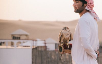 Discovering the Wonders of UAE: A British Perspective