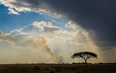 Exploring the Wonders of Zambia: A Journey Through the Heart of Africa