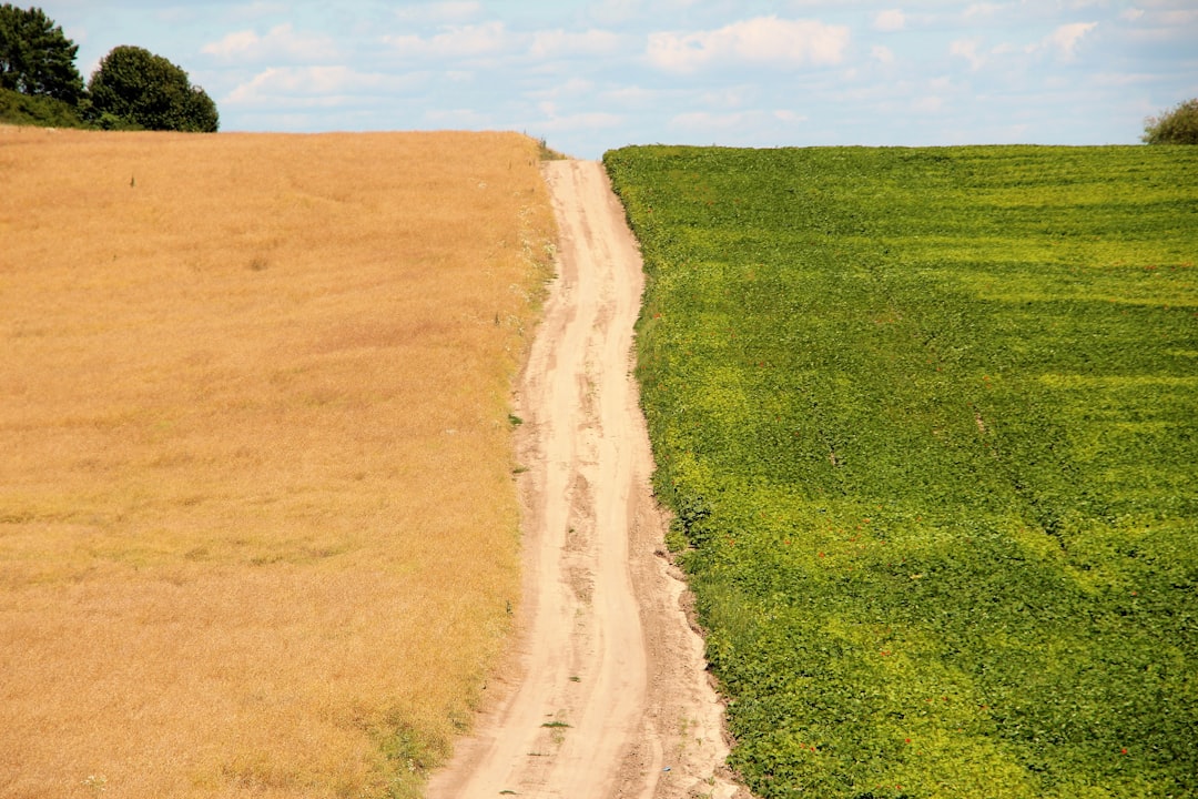 Exploring the Hidden Gems of Rivne A Journey Through the Heart of