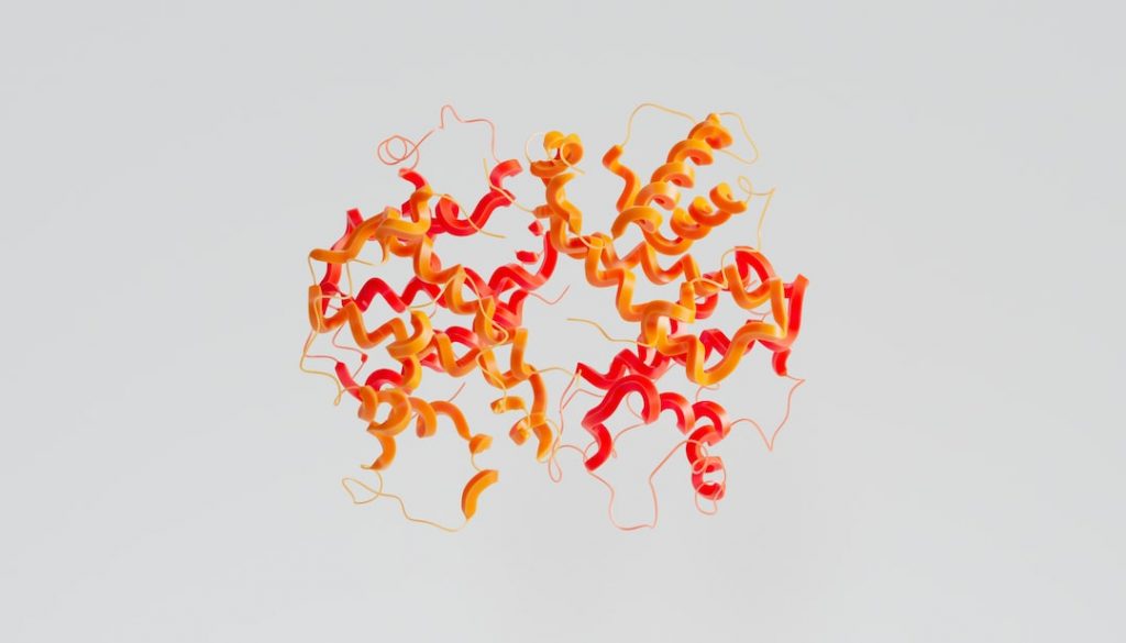 A 3D ribbon diagram of a protein structure, featuring intertwined red and orange helices and loops on a plain white background.