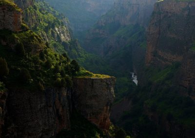 A deep, lush green canyon in Kazakhstan with steep rocky cliffs, dense vegetation, and a small river flowing along the canyon floor under soft, natural light.