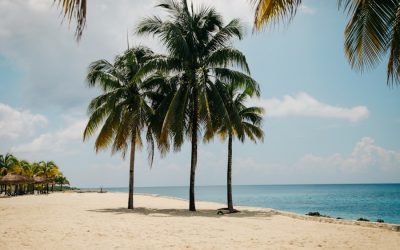Discovering the Hidden Gems of Sao Tome and Principe: A Journey to the Enchanting Islands