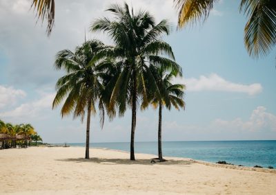 Several tall palm trees stand on a sandy beach beside the calm, blue sea of São Tomé and Príncipe, enchanting islands where small thatched huts dot the shore and lush greenery lines this hidden gem’s coast.