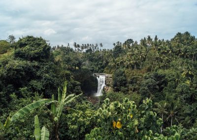 A waterfall flows into a river surrounded by dense tropical greenery and palm trees under a cloudy sky, viewed from a distance through lush vegetation.
