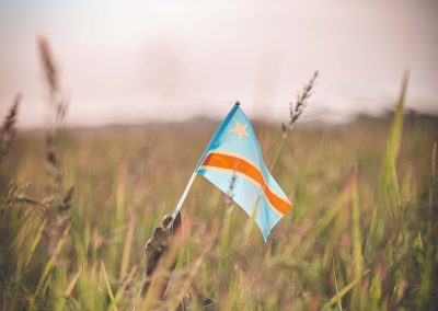 A small Democratic Republic of the Congo flag held upright in a grassy field, with blurred green grass and a soft, cloudy sky in the background.
