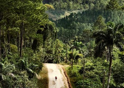 A winding dirt road cuts through lush, green forested hills in rural Cuba. A person on a bicycle rides down the road, whilst another with a horse walks along the edge. Misty mountains rise in the background.