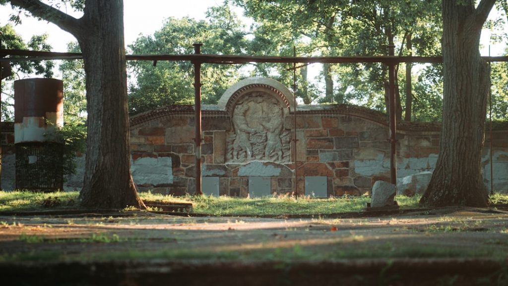 Photo Artifacts, Kingdoms