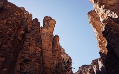 Natural Resources of Algeria:  Unlocking the Natural Wealth of Algeria: Oil, Gas, and Beyond