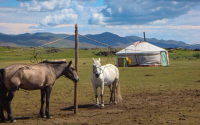 Natural Resources of Mongolia: Where Natural Resources are located In Mongolia