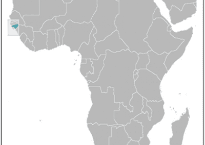 A map of Africa with all countries shaded grey. Sierra Leone is highlighted in blue on the west coast, just south of Guinea and Guinea-Bissau, indicating its location in the continent.