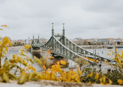 A green metal bridge spans a river in a city in Hungary, with yellow-leaved plants in the foreground. Buildings and overcast skies are visible in the background.