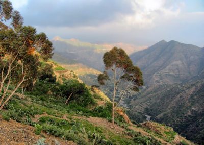 Rolling green hills with terraced slopes and scattered trees under a cloudy sky; sunlight breaks through, illuminating parts of the landscape and casting shadows on the distant mountains.