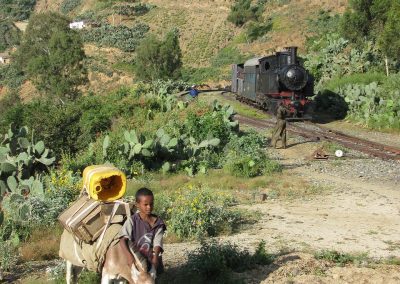 A child sits on a donkey carrying yellow containers, grazing by a dirt track. In the background, an old steam train travels through a green, hilly landscape with scattered houses and cacti.