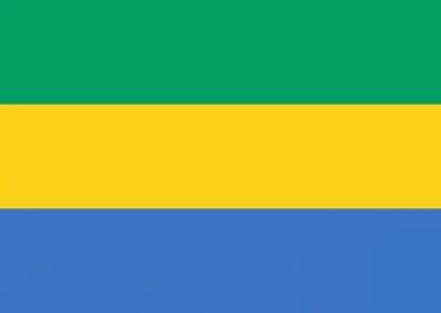 A flag with three horizontal stripes: green on top, yellow in the middle, and blue on the bottom, representing Gabon.