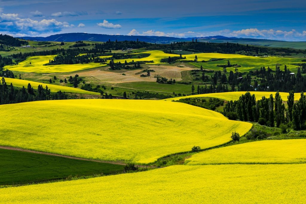 Photo Rolling hills