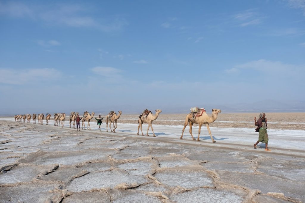 Photo Ethiopian landscape