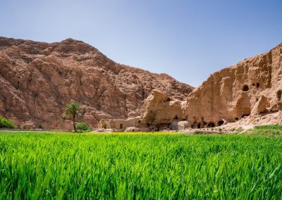 A lush green field with tall grass grows in the foreground, whilst ancient cave dwellings are built into rocky, sunlit cliffs under a clear blue sky. A few palm trees and sparse vegetation border the field.
