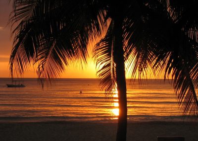 A palm tree is silhouetted against a golden Jamaican sunset over a calm sea, with gentle waves and a small boat on the horizon.