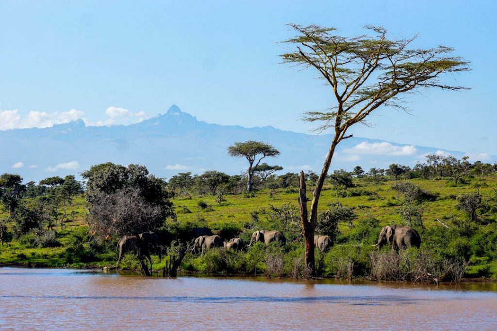 Photo Mount Kenya