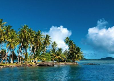 A tropical island in Micronesia with tall palm trees lining the shore, surrounded by clear blue water under a bright sky with scattered white clouds. A distant island is visible on the horizon.