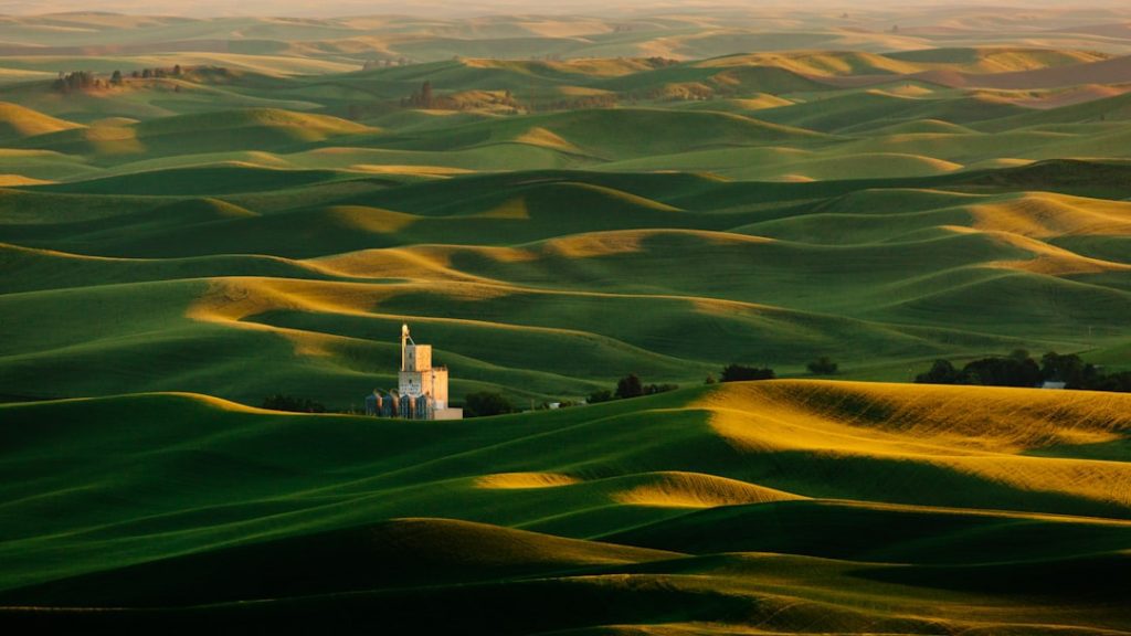 Photo Rolling hills