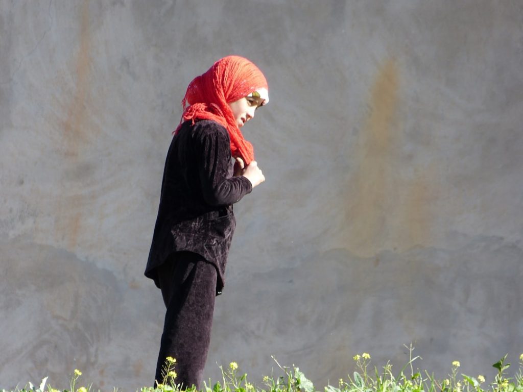 Photo Atlas Mountains