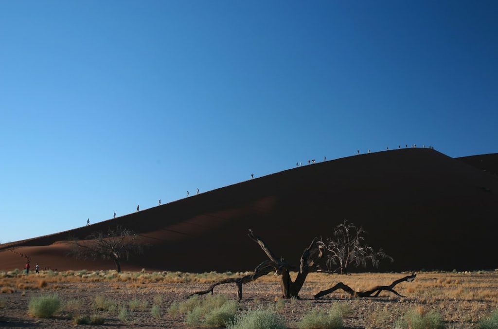 Photo Namib Desert