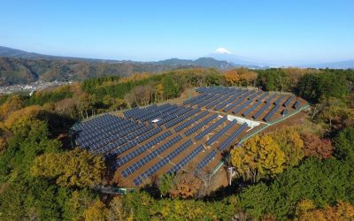 Climate Change Mitigation and Adaptation