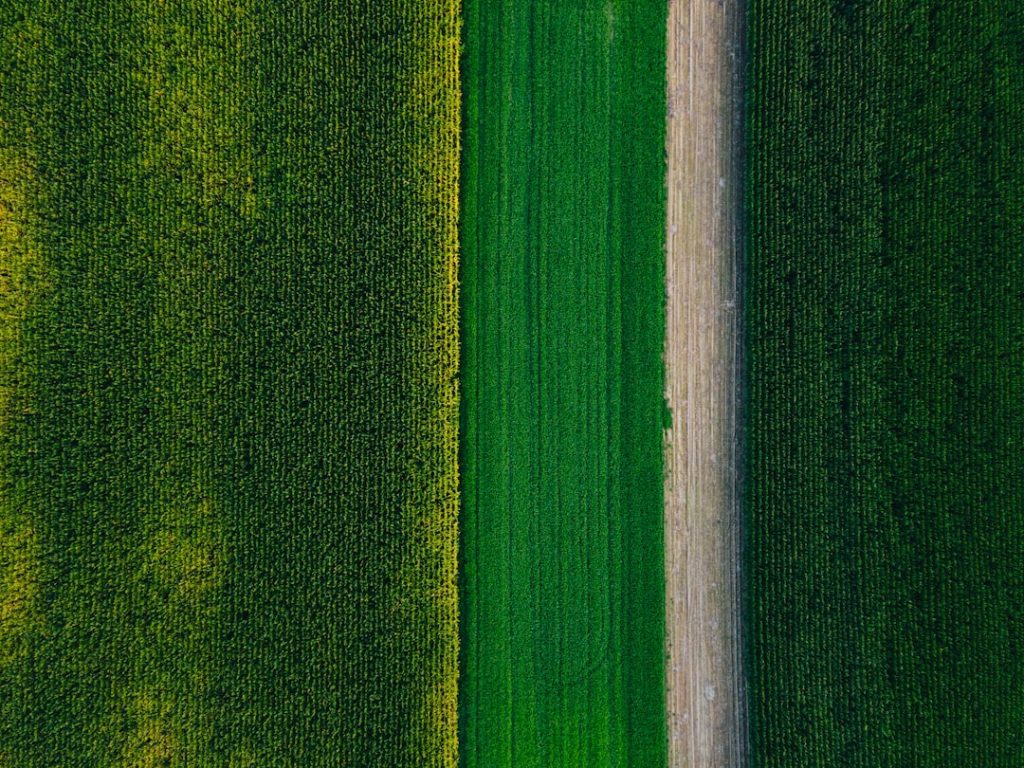 Photo Green infrastructure