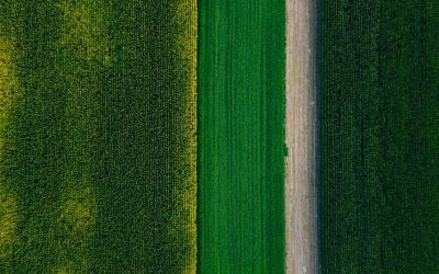 Climate resilience in urban planning