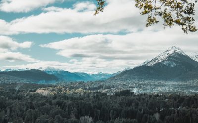 Temperate Climate Zones