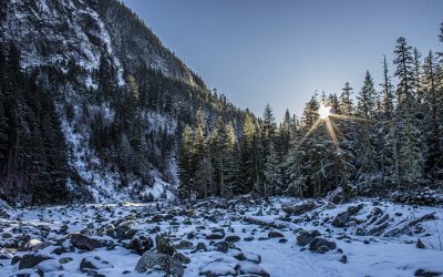 Tundra (ET): Extremely cold winters, cool summers, and very little precipitation.