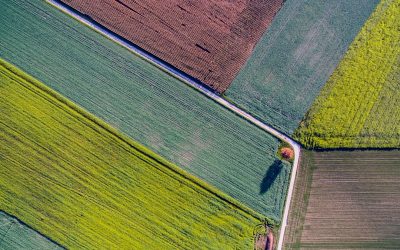 Agriculture in Different Climate Zones: Crops and Challenges