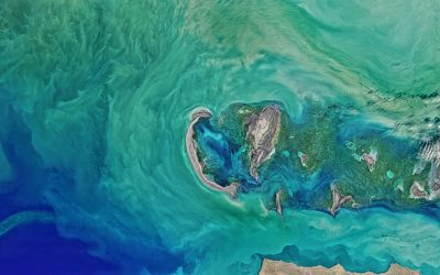 Analyzing how specific climate zones, such as tropical and subtropical, are prone to hurricanes, cyclones, and monsoons.