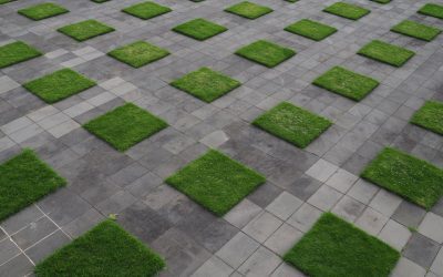 Temperate Zones: Balancing Nature and Urbanization