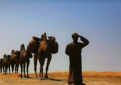 A line of camels carrying loads walks on a dirt path in a dry, grassy Qatari landscape under a clear blue sky, whilst a person in traditional clothing stands in the foreground, shielding their eyes.