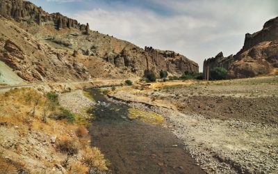What Is a Watershed and Why Is It Important?