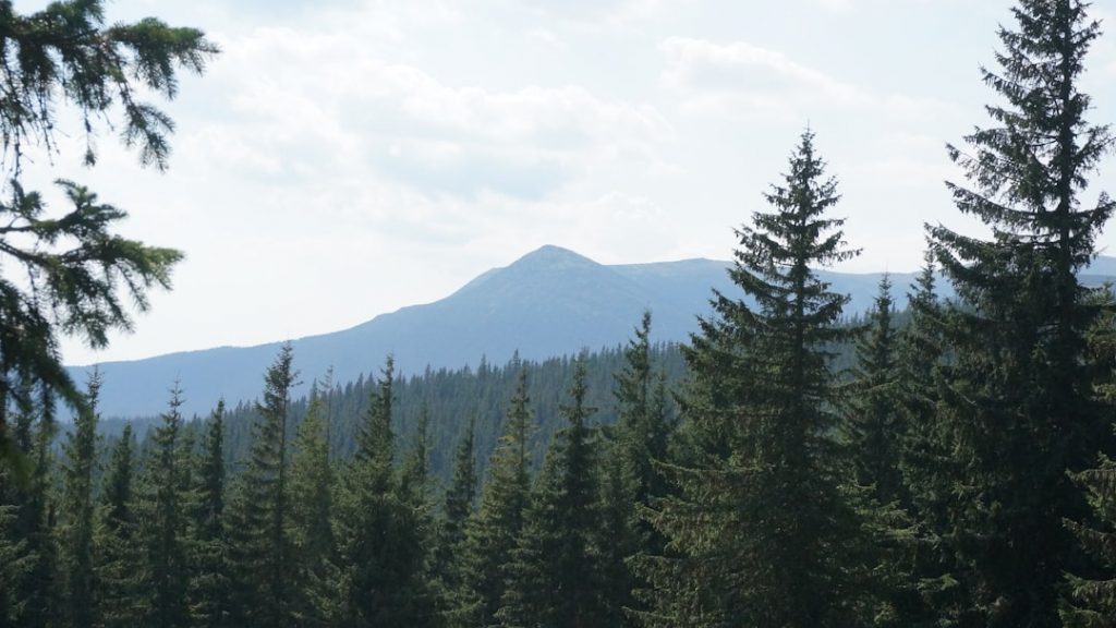Photo Carpathian Mountains
