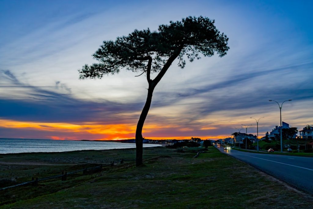Photo Caribbean landscape