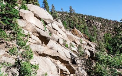 What Are Topographic Maps and How Are They Used?